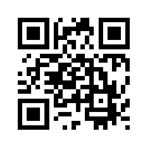 Introny.com QR code