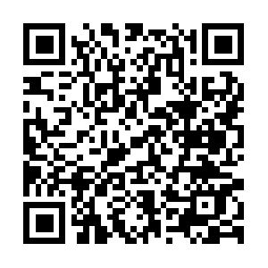 Investigatoreprivatomassacarrara.com QR code