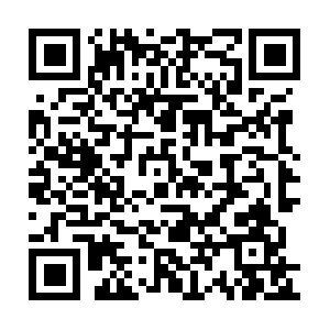 Investissement-immobilier-duflot.org QR code