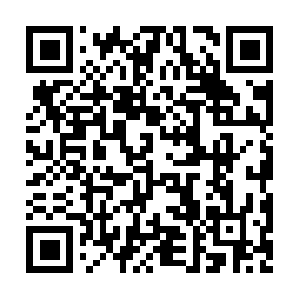 Investmentpropertyforsaleburksfalls.com QR code