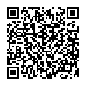 Ipv4-c002-dmk001-cattelecom-isp.1.oca.nflxvideo.net QR code