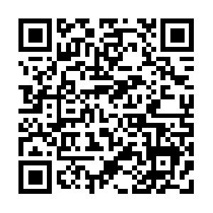 Ipv4-c024-bom001-ix.1.oca.nflxvideo.net QR code