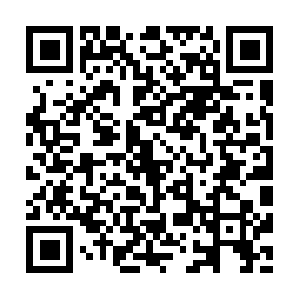 Ipv4-c103-sjc002-ix.1.oca.nflxvideo.net QR code