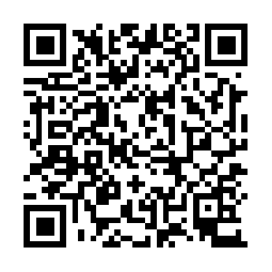 Ipv4-c142-sjc002-ix.1.oca.nflxvideo.net QR code