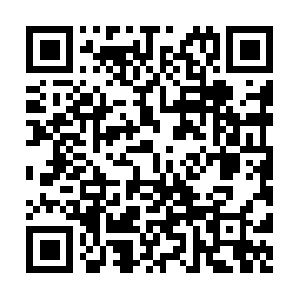 Ipv4-c215-lax001-ix.1.oca.nflxvideo.net QR code