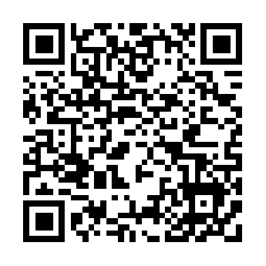 Ipv4-c231-lax001-ix.1.oca.nflxvideo.net QR code