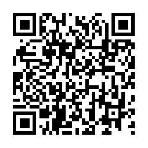 Ipv4-c501-sjc002-dev-ix.1.oca.nflxvideo.net QR code