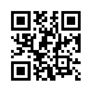 Iron City QR code