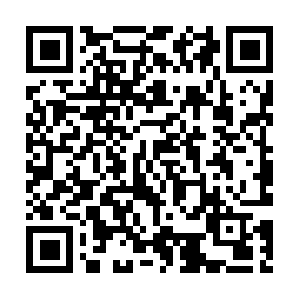 It.dob.sibl.support-intelligence.net QR code