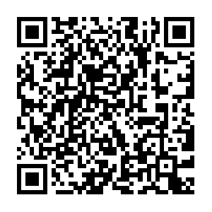 Jardinerie-animalerie-bricolage-decoration.fr QR code