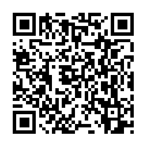 Jiujinshanyuleyulechengsongcaijin20.org QR code