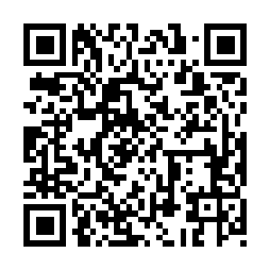 Kalamazoobidistributionventures.com QR code