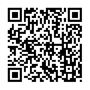 Kamiinadesyuukatsu-gakusei-support.net QR code