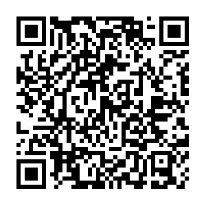 King.com.getcacheddhcpresultsforcurrentconfig QR code