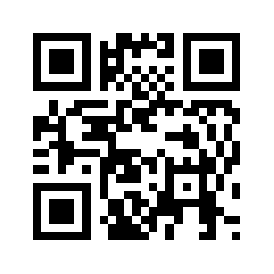 Kiwiindian.com QR code