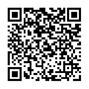 Knxmbusbacnetmodbussnmppowermeter.info QR code