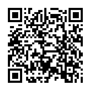 Kosha-sportswellnessholisticnutrition.info QR code