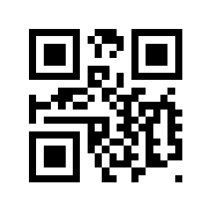 Kr9.biz QR code