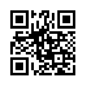 L313.com QR code