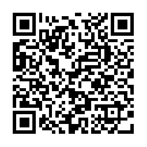 Laboratoriodeanalisisclinicosdrapaoli.com QR code