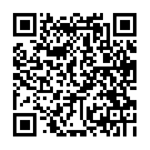 Labottegadellapizzacampibisenzio.com QR code