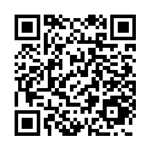 Lackprofi-brandenburg.com QR code