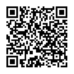 Lakegenevawisconsinhorsefarmforsale.com QR code