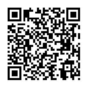 Lakewoodranchdentalwellnesscenter.com QR code