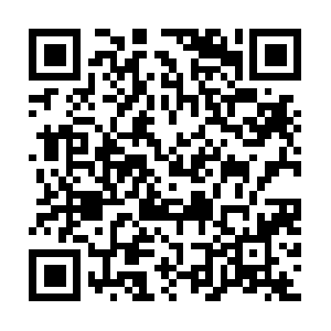 Landsurveyororangecountyflorida.com QR code