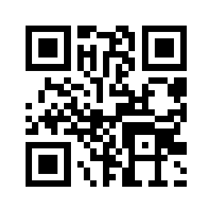 Laneyturns.com QR code