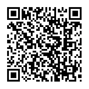 Laporteraccoonbatgroundhoganimalremovalandcontrol.com QR code