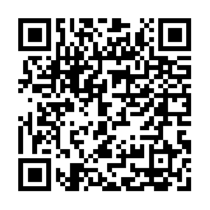 Lastninjasgakureinshadowfantasia.com QR code