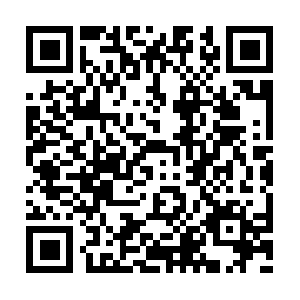 Lawofattractionphotographyandart.com QR code