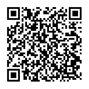 Laxkalomimportsandexportsopcprivatelimited.com QR code