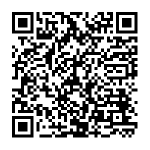 Lbs.imolive.xyz.getcacheddhcpresultsforcurrentconfig QR code
