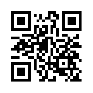 Ldzptvzy.info QR code