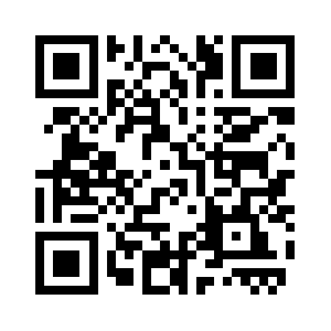 Leasingsupport.com QR code