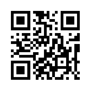 Leecopay.com QR code