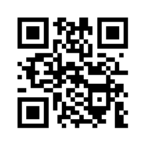 Leerzim.info QR code