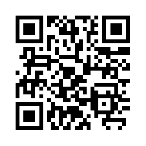 Leinsterprofiles.com QR code