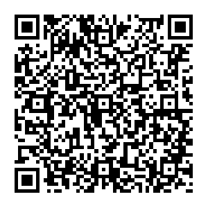 Leonardo-da-vinci-1525-estate-inventory-salai-royal-collection.com QR code