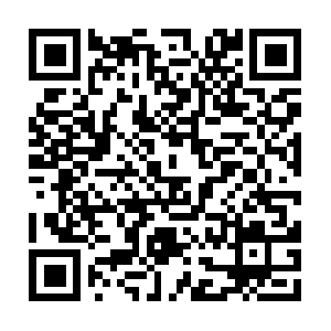 Leonardo-da-vinci-the-flying-machine.com QR code