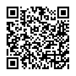 Leonjanssengruppenreisebegleitung.com QR code