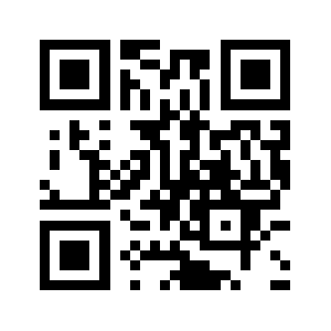 Lerystore.com QR code