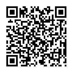 Les-aventures-du-pays-des-lettres.biz QR code