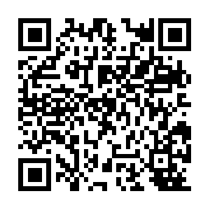 Lesionespersonalesdelafloridablog.com QR code