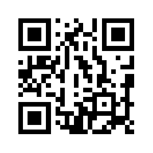 Letdoiot.com QR code