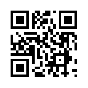 Levelswild.biz QR code