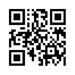 Leverguns.com QR code