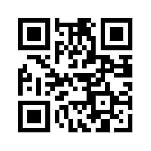 Leversee QR code